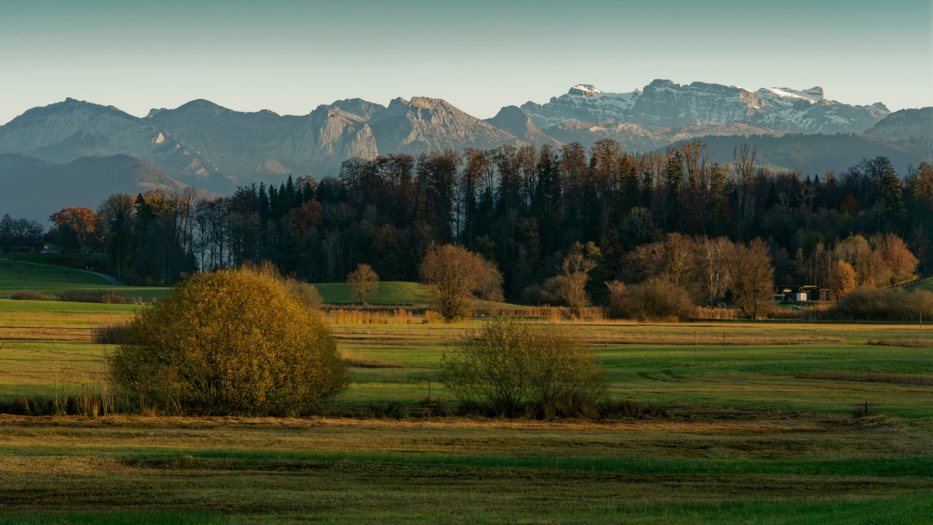 Herbstlich(t)