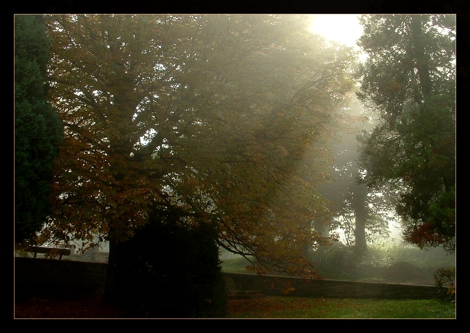 Herbstlicht