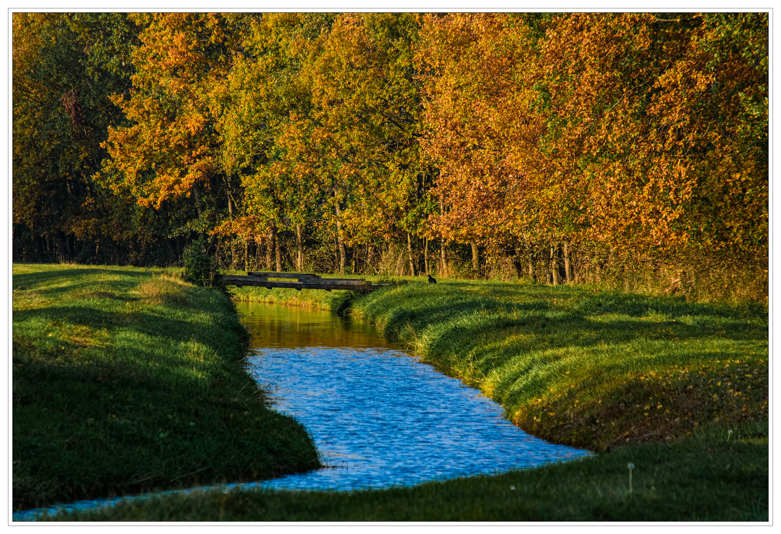 Herbstlicht