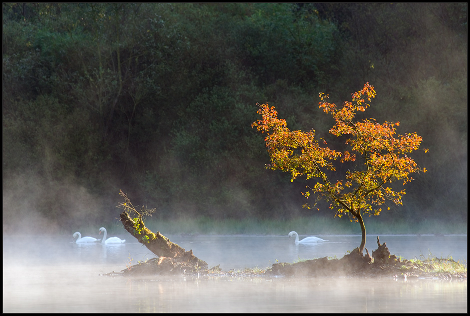 herbstlicht