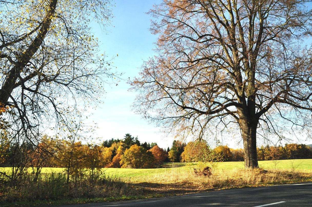 Herbstlicht