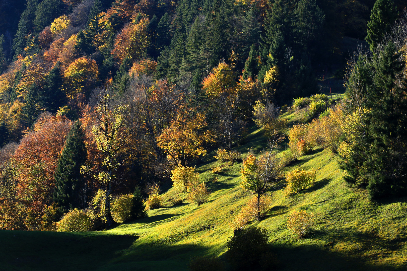 Herbstlicht