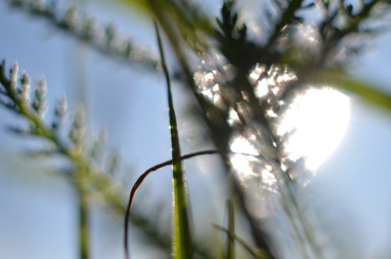 Herbstlicht