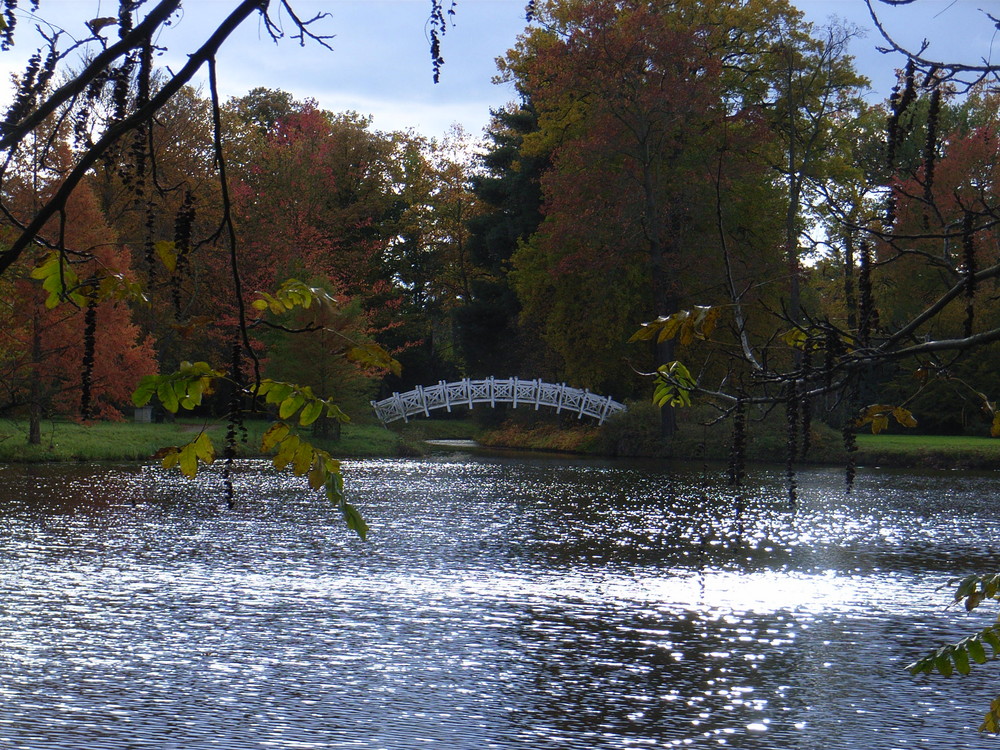 Herbstlich(t)