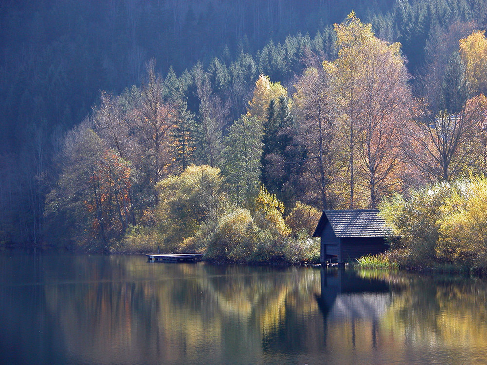 Herbstlicht am 20.10.2008...