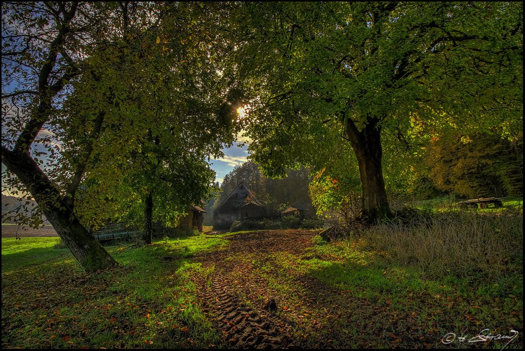 Herbstlicht am ...