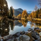 Herbstlicht am Bergsee