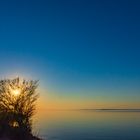 Herbstlicht am Bodden