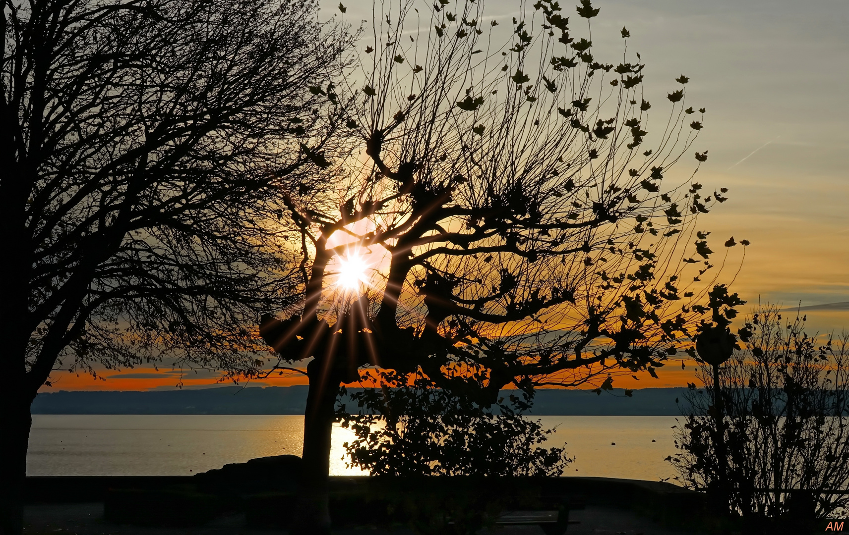 Herbstlicht am Bodensee