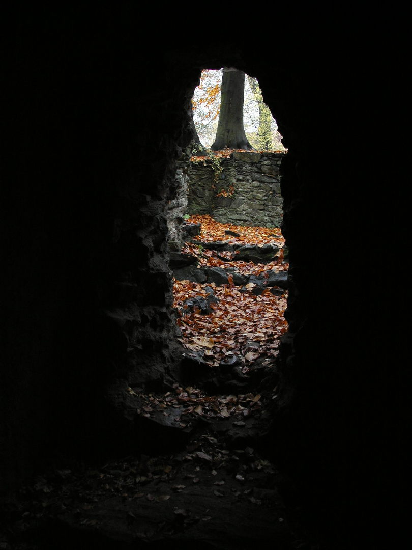 Herbstlicht am Ende des Tunnels