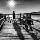 Herbstlicht am Federsee