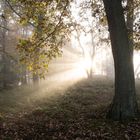 Herbstlicht am Gaisberg