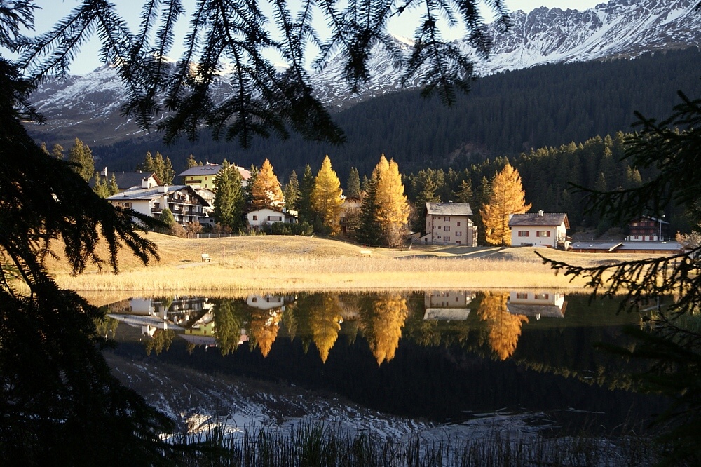 Herbstlicht am Heidsee