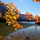 Herbstlicht am Hintersee