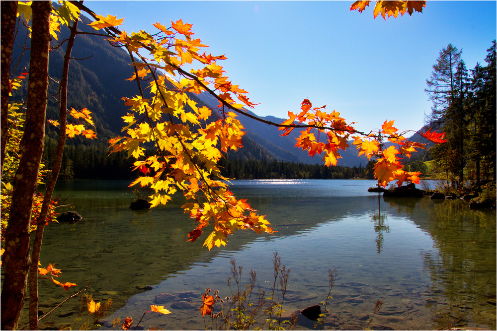 Herbstlicht am Hintersee