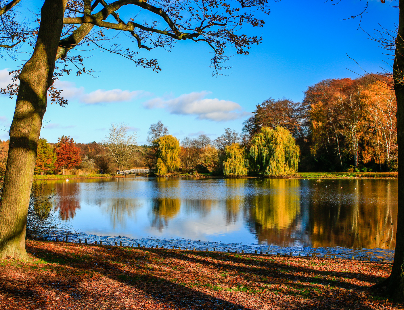 Herbstlicht am Kurparksee