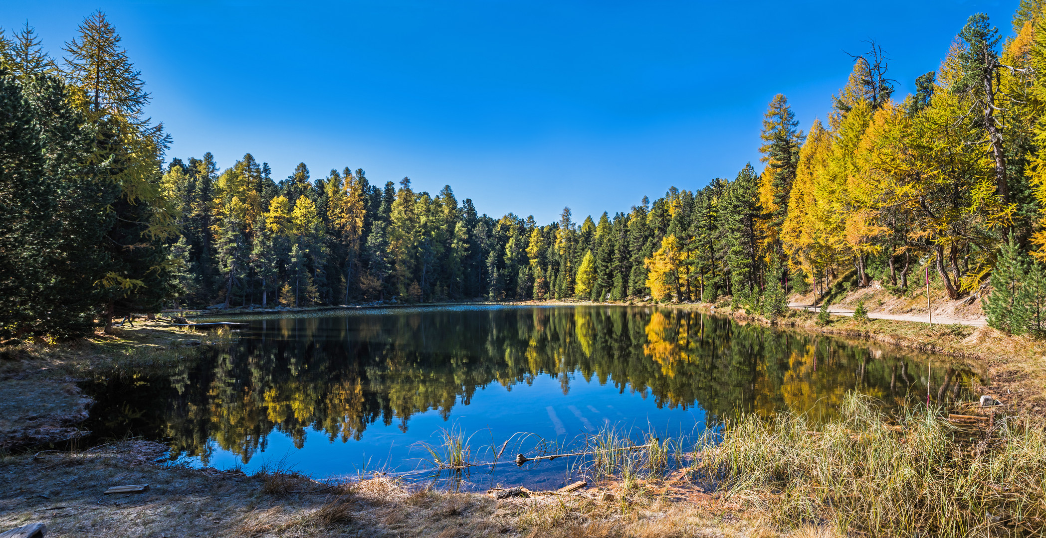 Herbstlicht am Moorsee