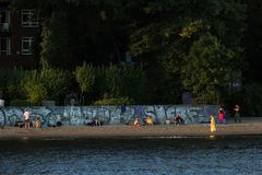 Herbstlicht am Nachmittag an der Elbe...