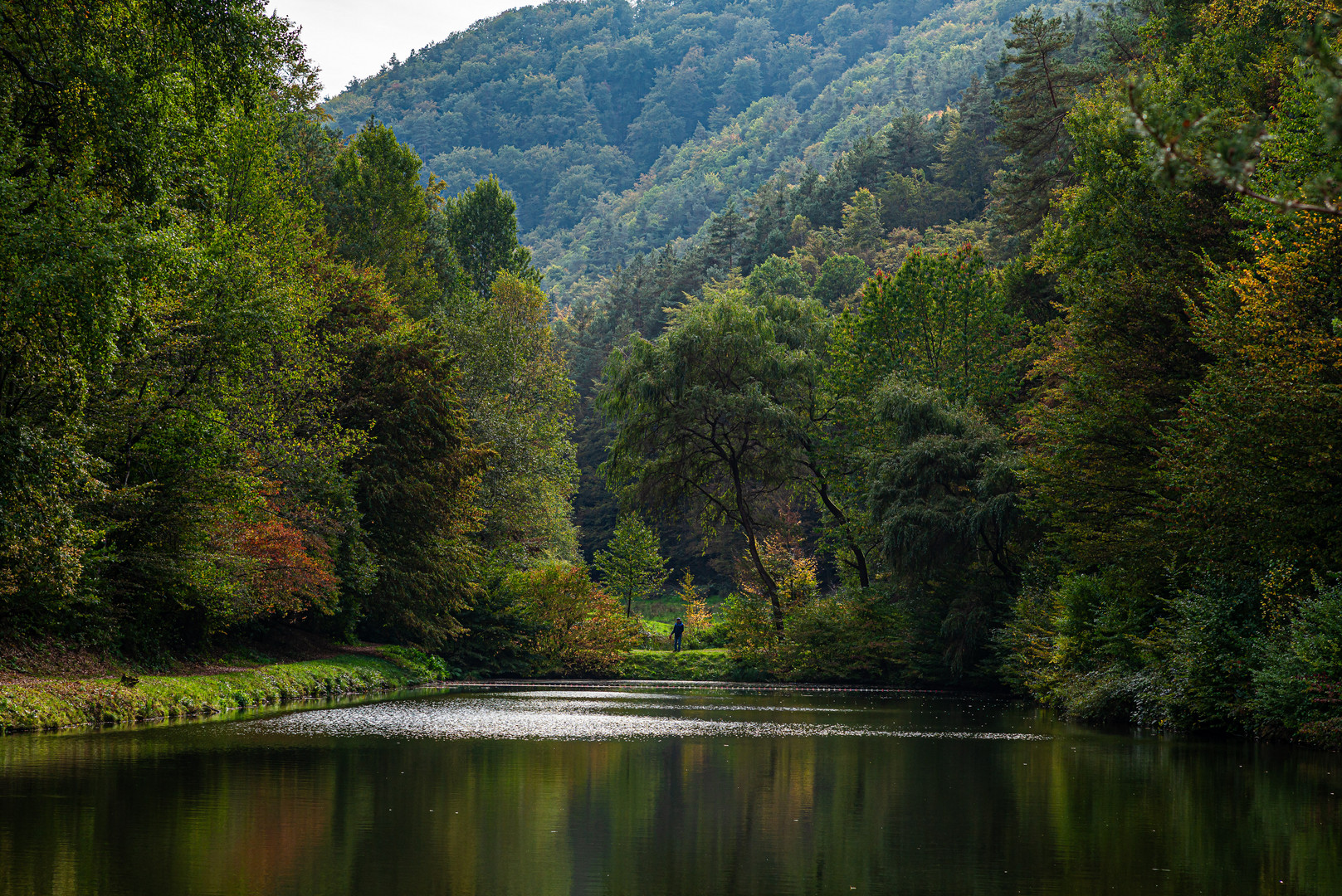 Herbstlicht am Paddelweiher