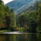 Herbstlicht am Paddelweiher