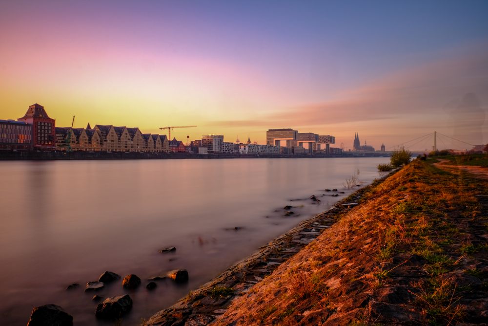 Herbstlicht am Rhein 