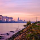 Herbstlicht am Rhein II