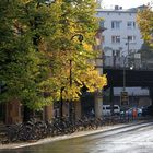 Herbstlicht am Schlesischen Tor