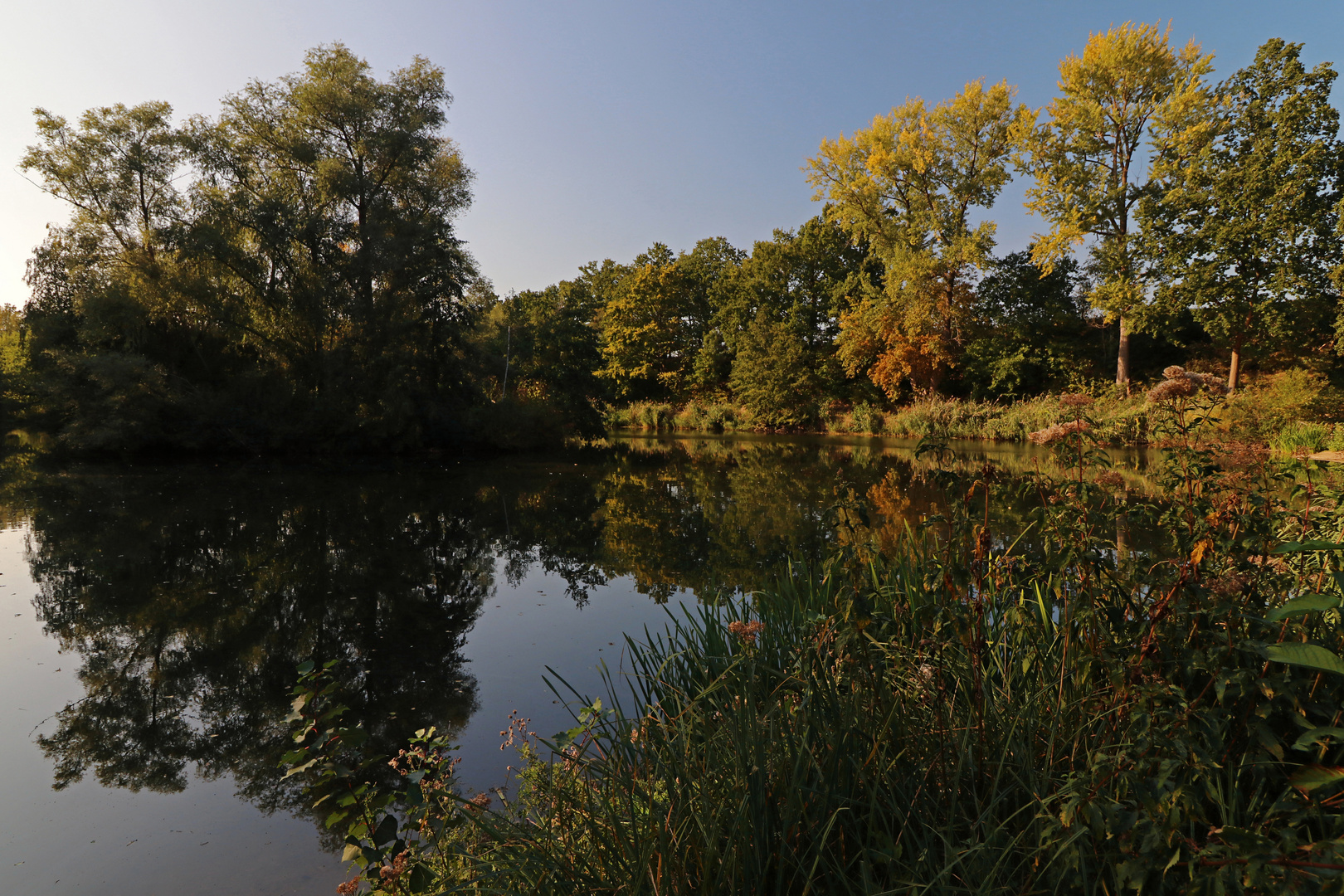 Herbstlicht am Teichufer