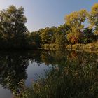 Herbstlicht am Teichufer