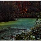 Herbstlicht am Waldsee