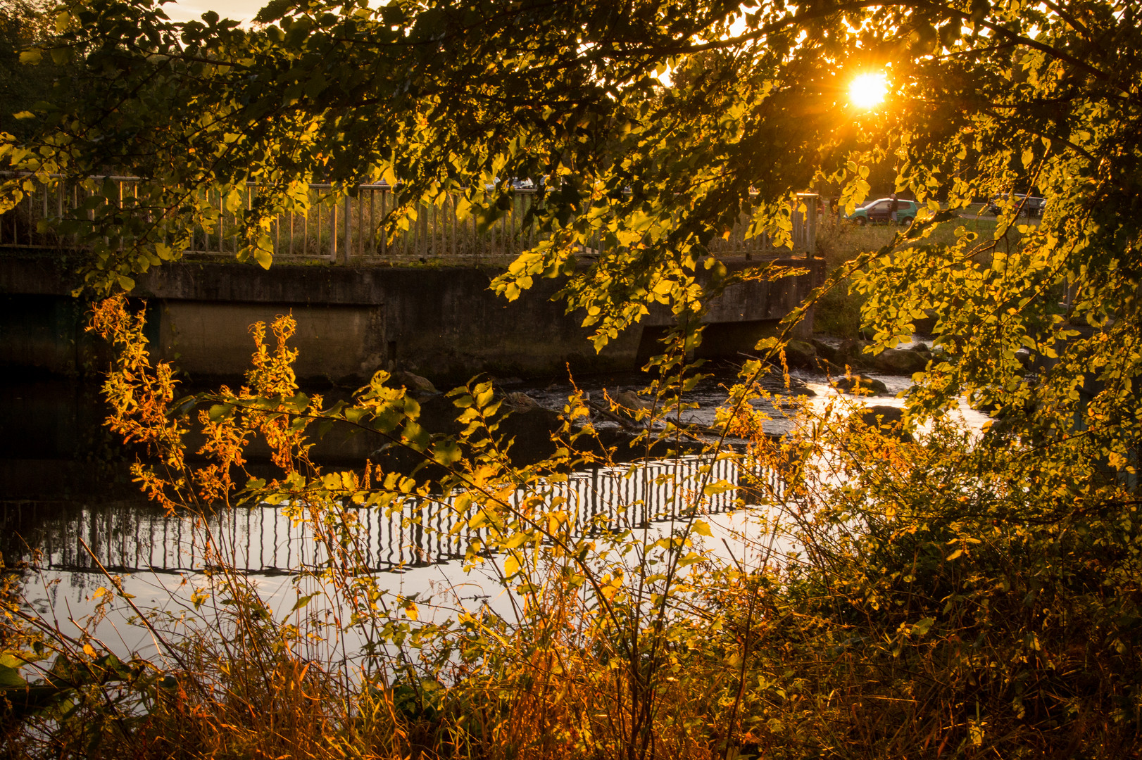 Herbstlicht an der Aa