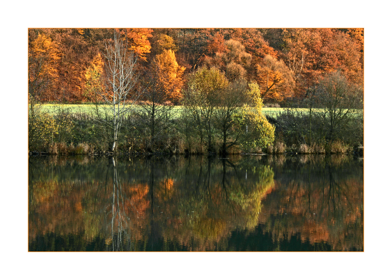 Herbstlicht an der Perf