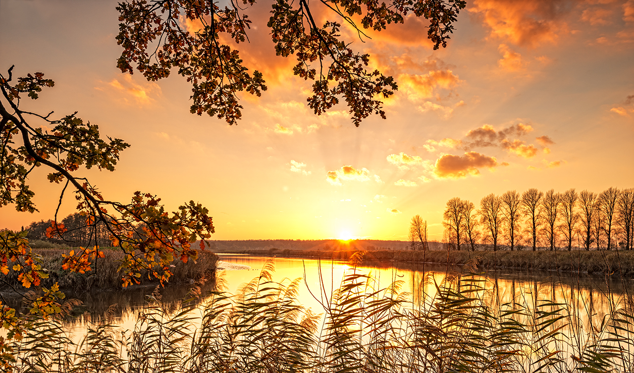 Herbstlicht an der Stör