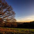 Herbstlicht