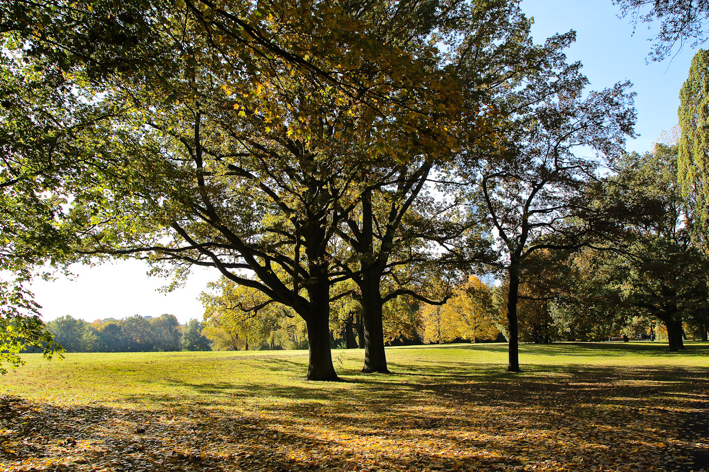 Herbstlicht