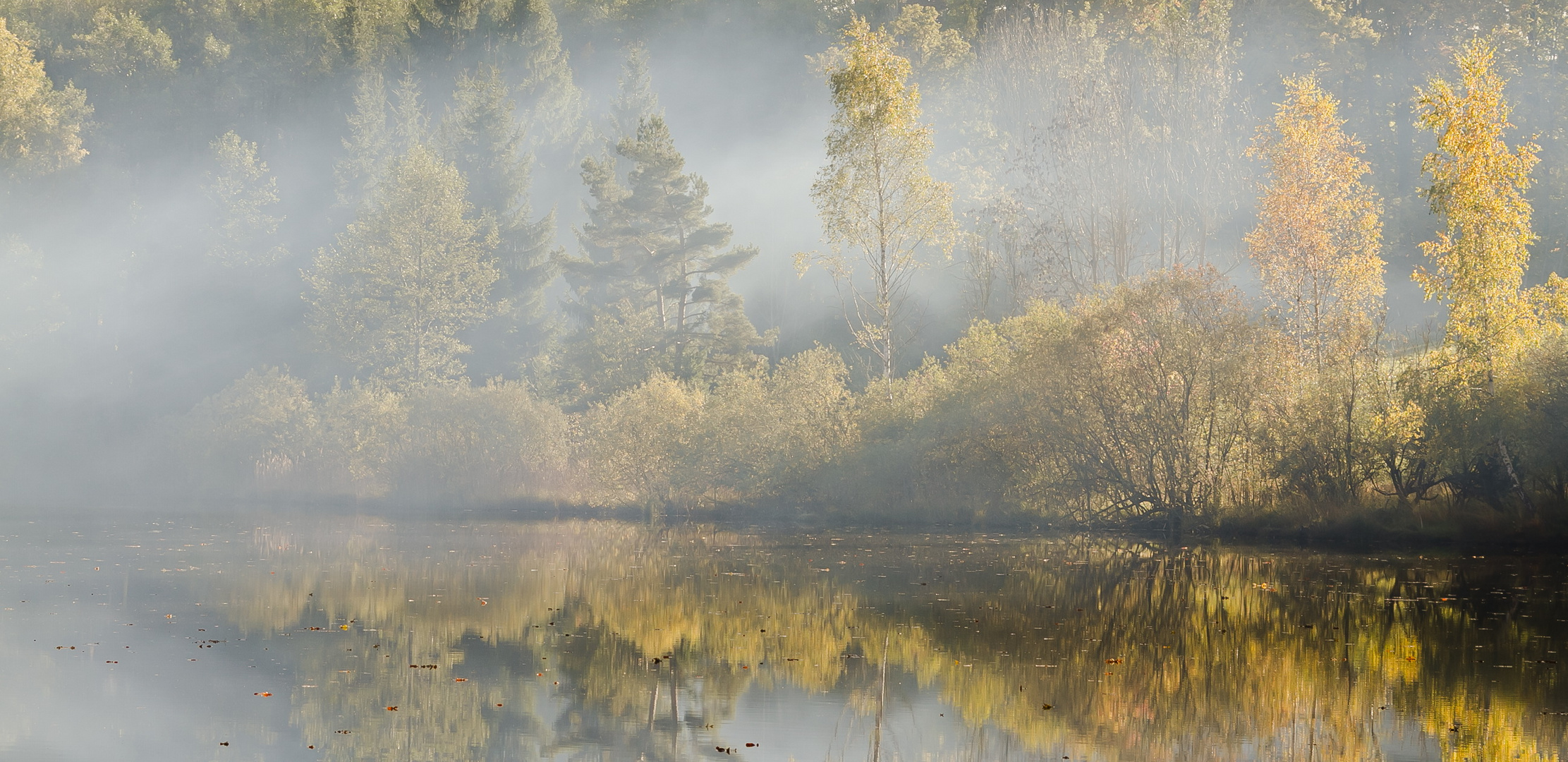 " Herbstlicht "