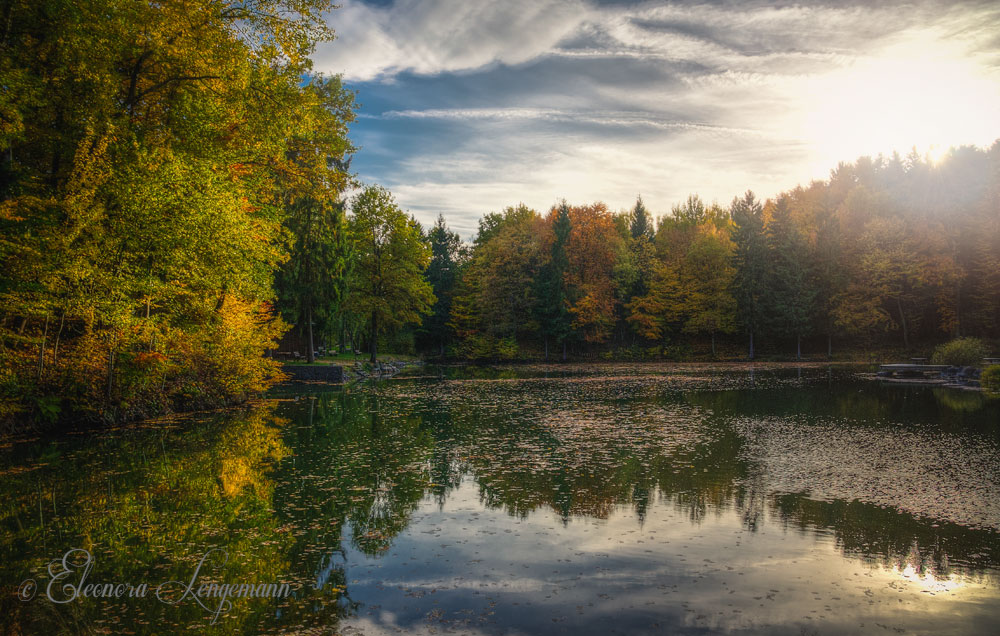 Herbstlicht