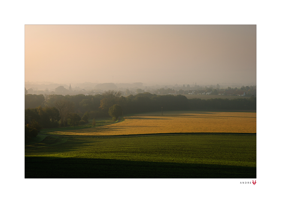 HERBSTLICHT