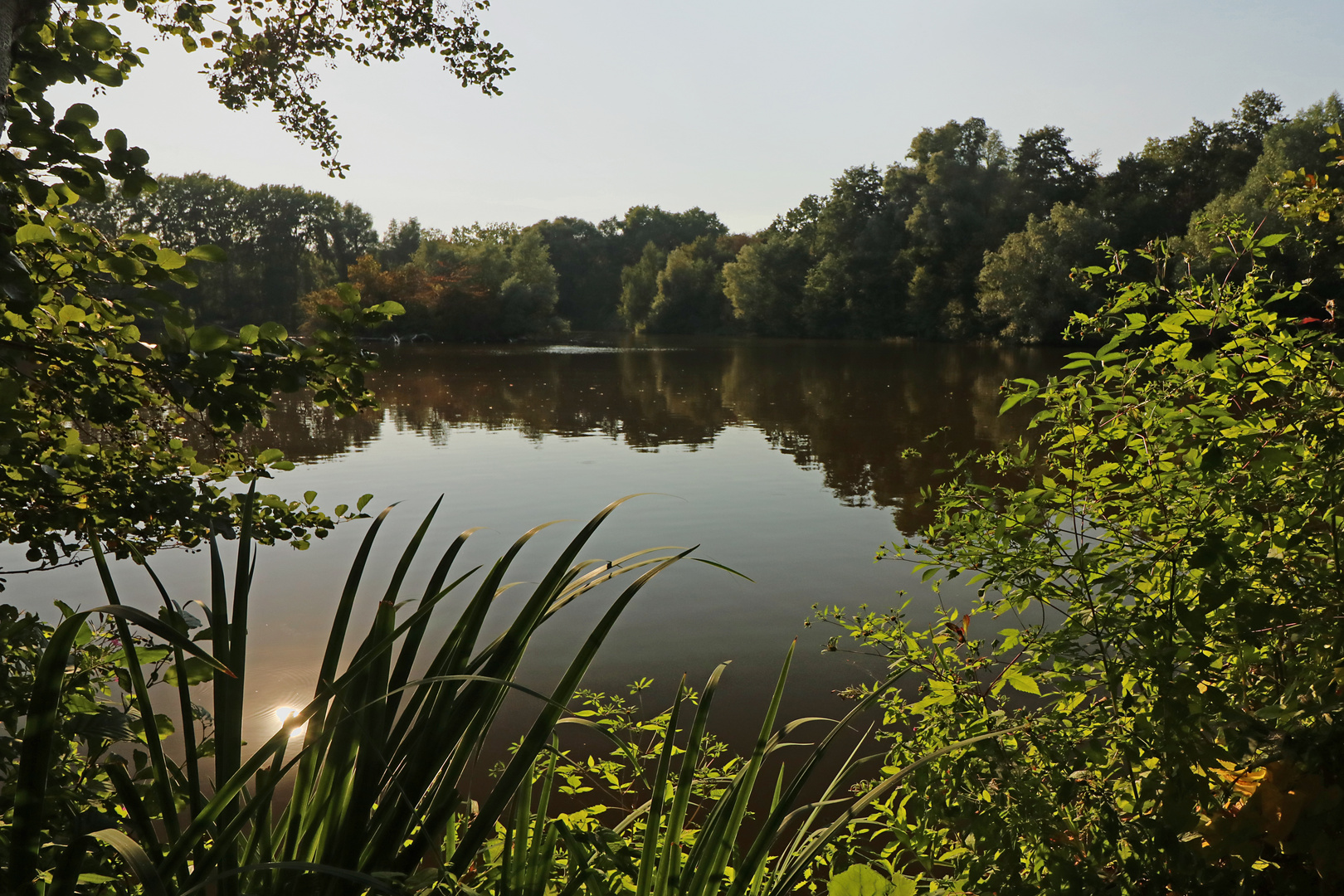 Herbstlicht