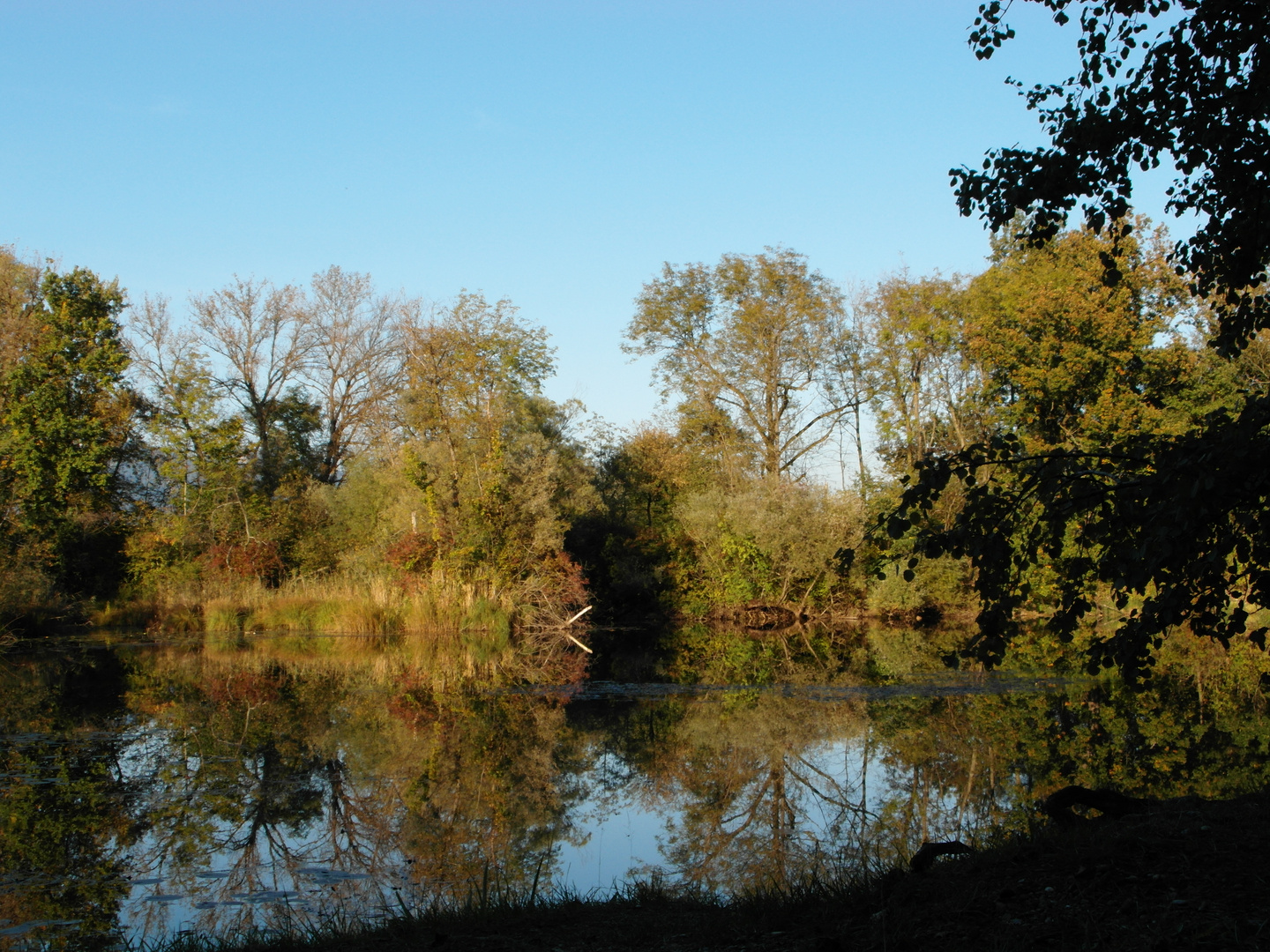 Herbstlicht Baggersee