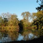 Herbstlicht Baggersee