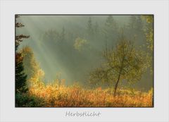 Herbstlicht