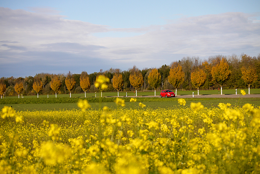 HERBSTLICH(T) ....