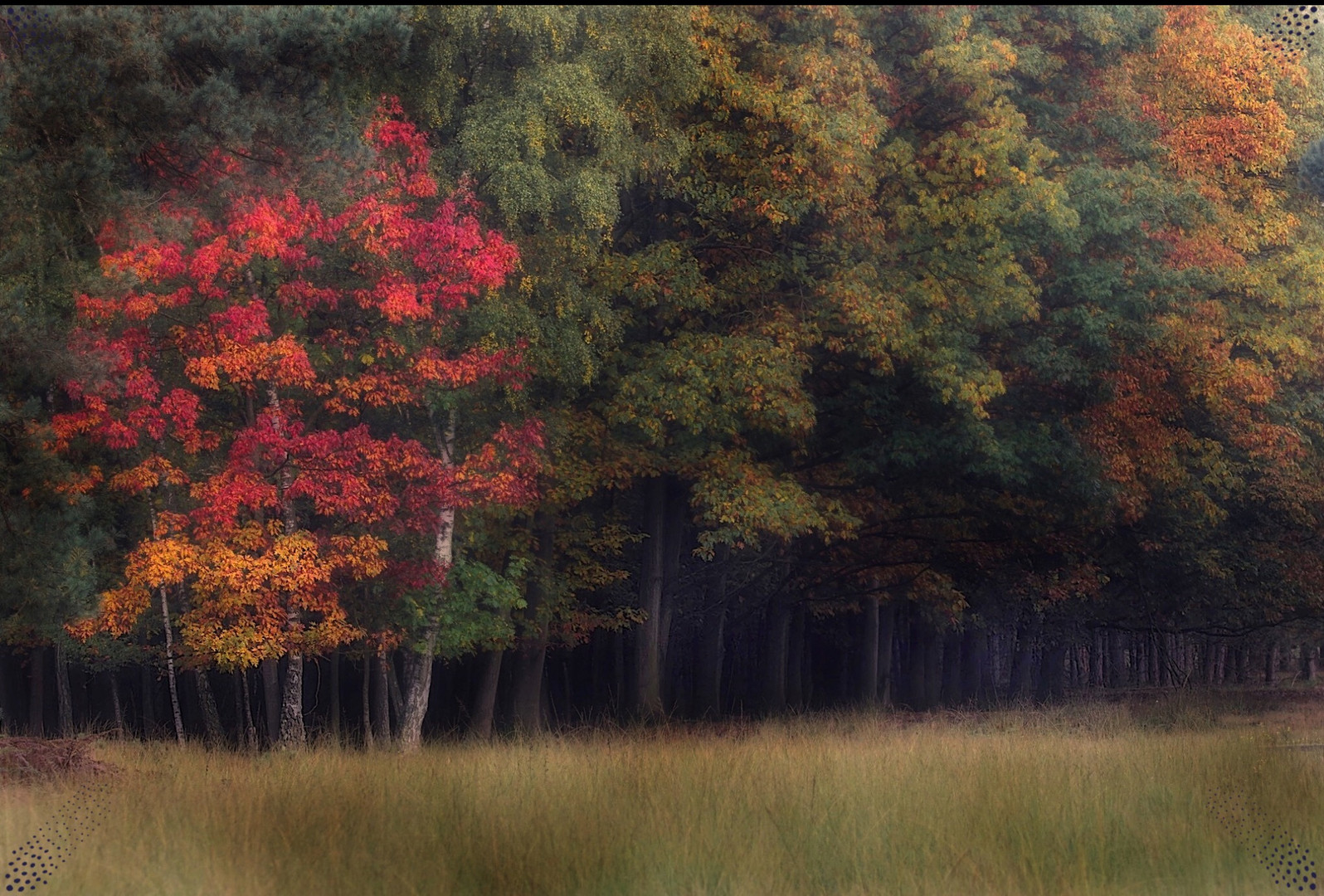 Herbstlicht