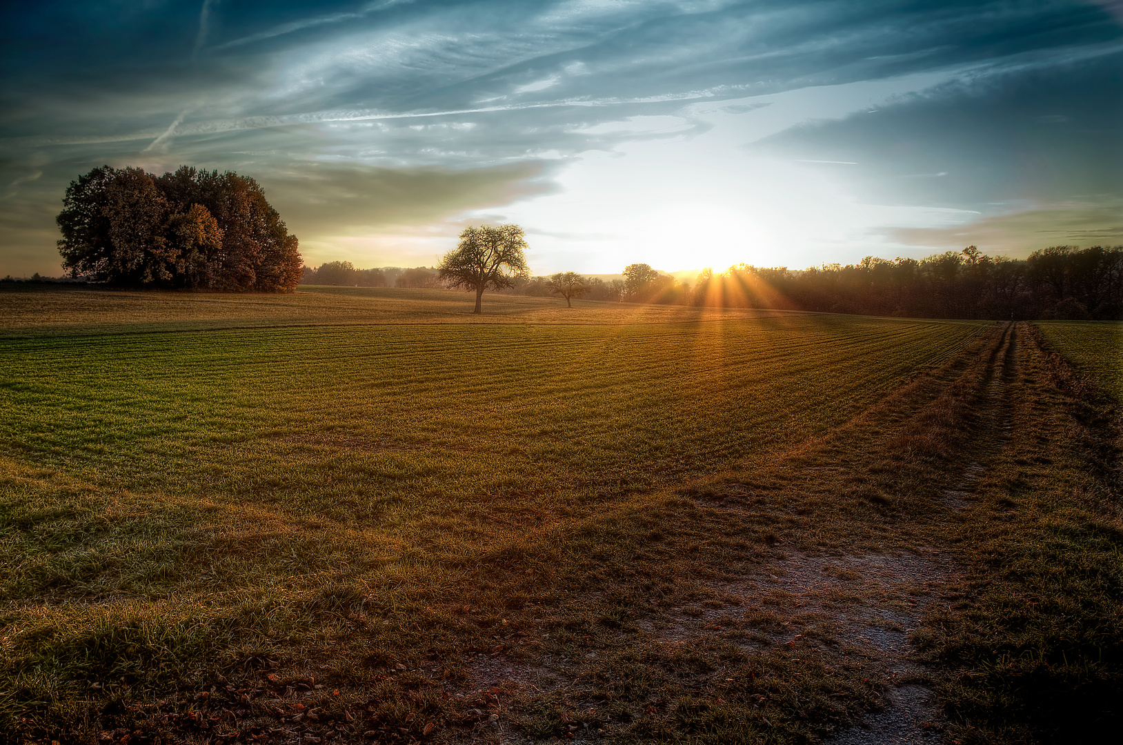 Herbstlicht