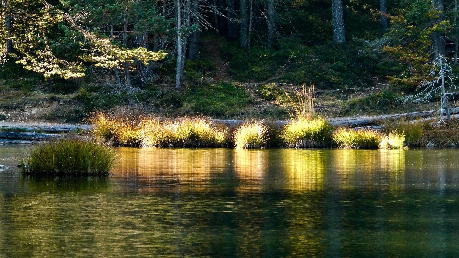 Herbstlicht