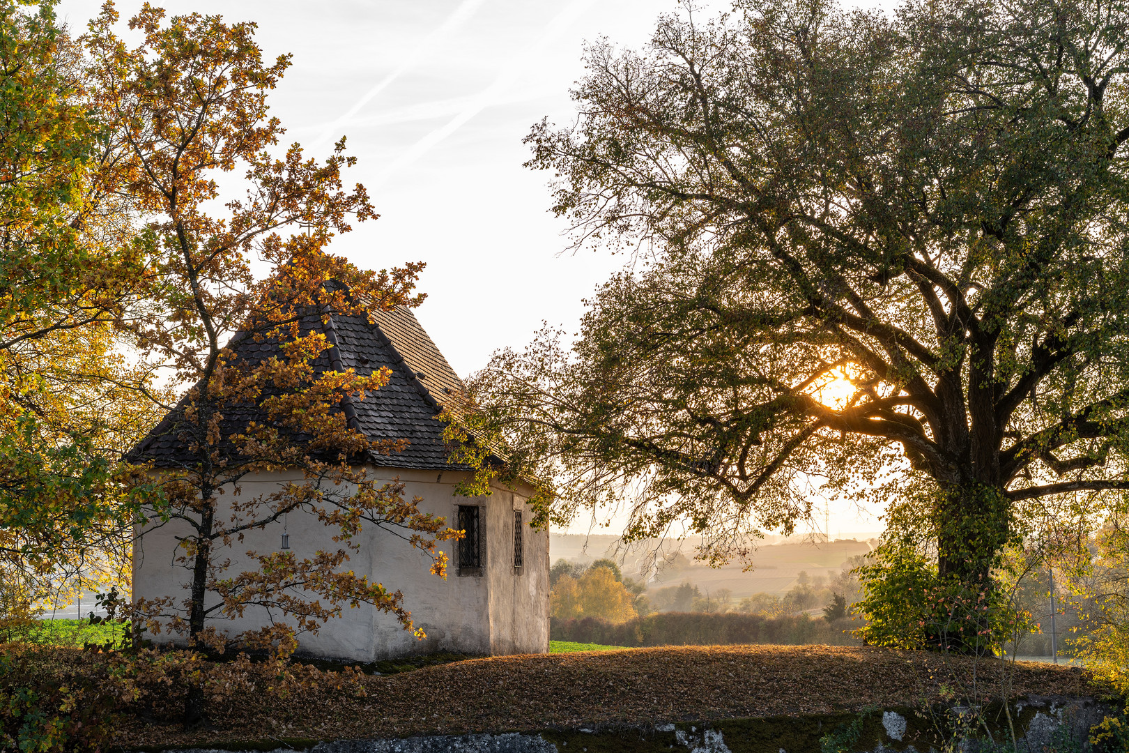 Herbstlicht