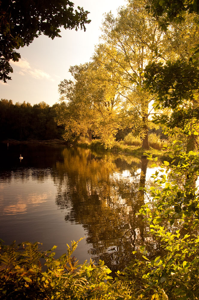 Herbstlich(t)