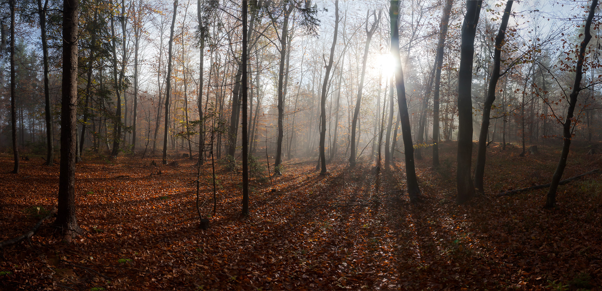 Herbstlicht