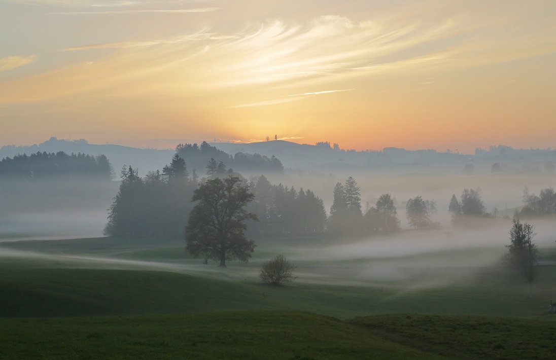 Herbstlicht